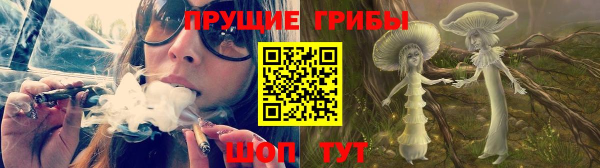 Галлюциногенные грибы Psilocybe Арзамас